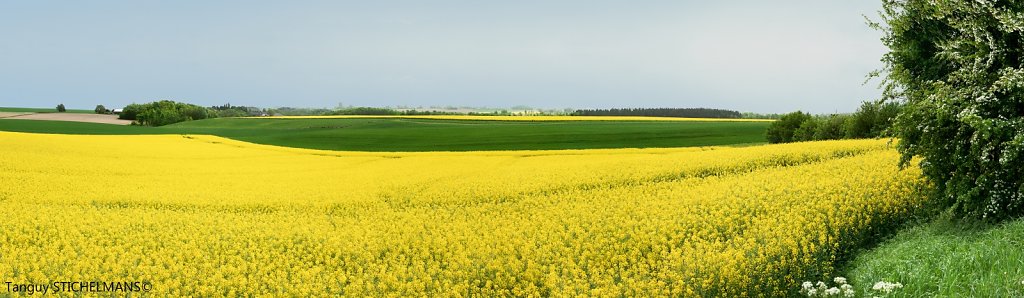 Panorama-meu0137-2w.jpg