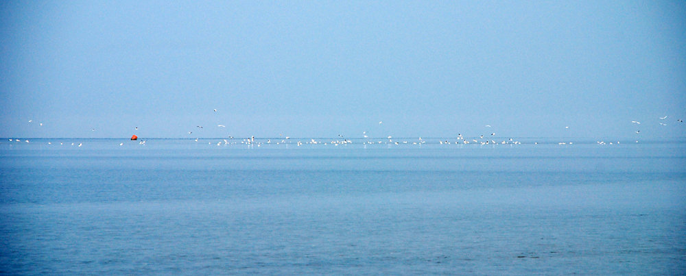 DSC-0032.jpg