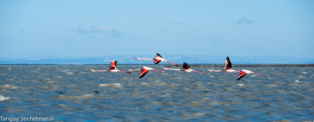EYG0171.jpg
