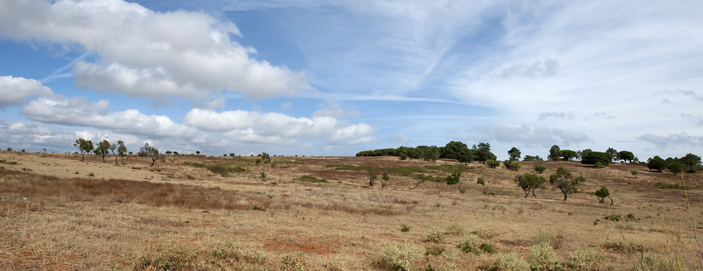 POR0863-pan.jpg